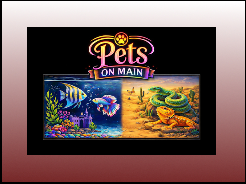 Click or tap to visit. Logo-Pets on Main